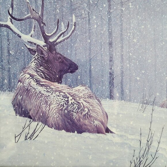 Robert Bateman ''Evening Snowfall '' - Picture 4 of 7